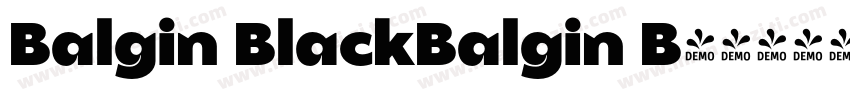 Balgin BlackBalgin B字体转换